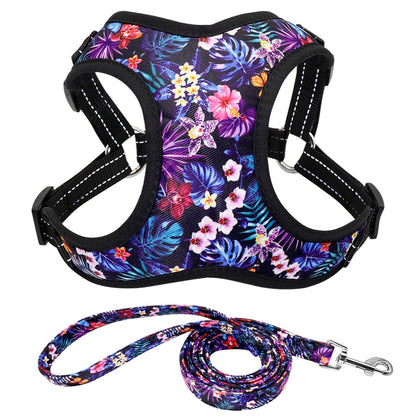 Nylon No Pull Dog Harnesses Set