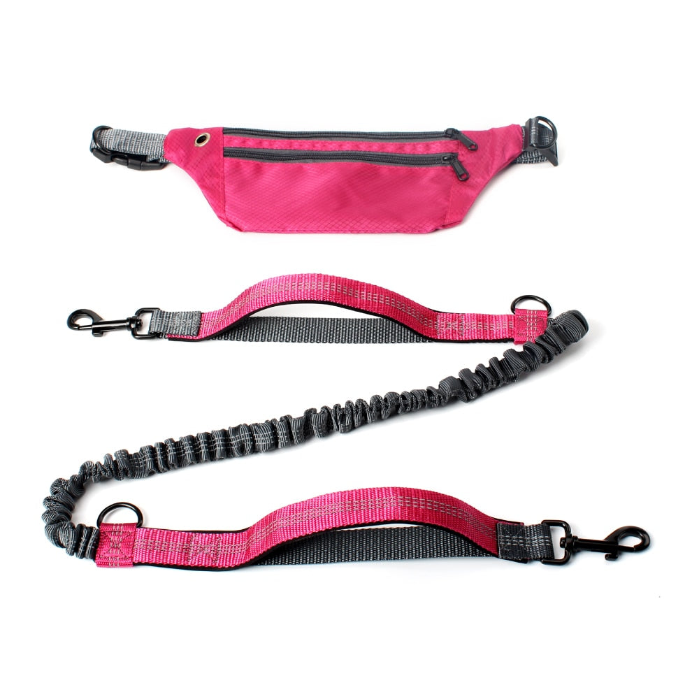 Hands Free Bungee Dog Leash