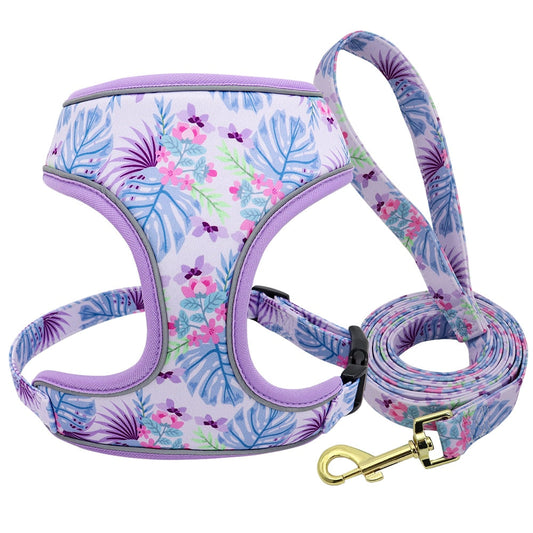 Fashion Reflective Dog Harness Set