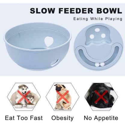 Entertaining 2 In 1 Dog Slow Feeding Bowl