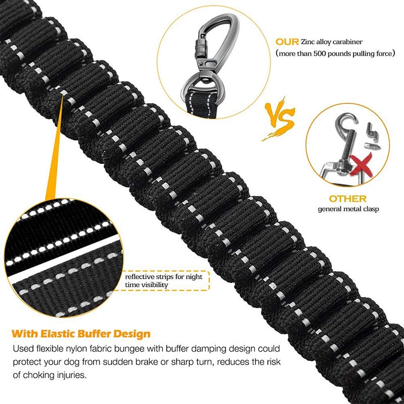 Advance Shock Absorbing Dog Leash