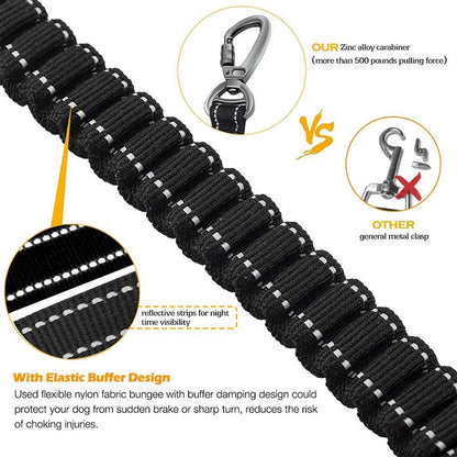 Advance Shock Absorbing Dog Leash