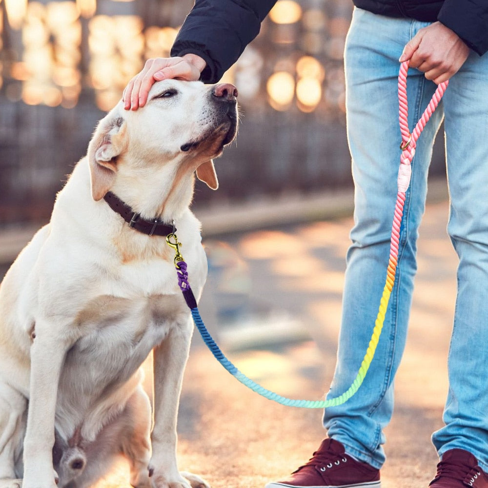 Rainbow Soft Cotton Dog Leash