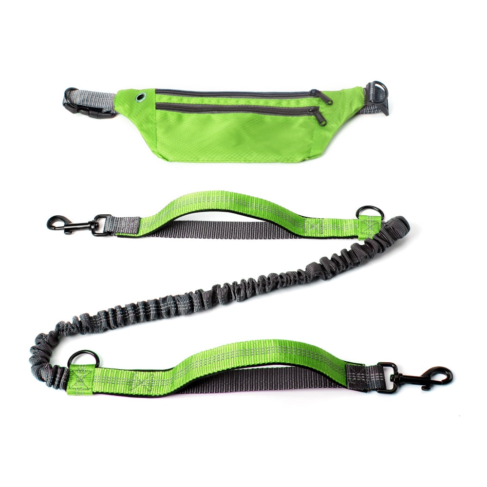 Hands Free Bungee Dog Leash