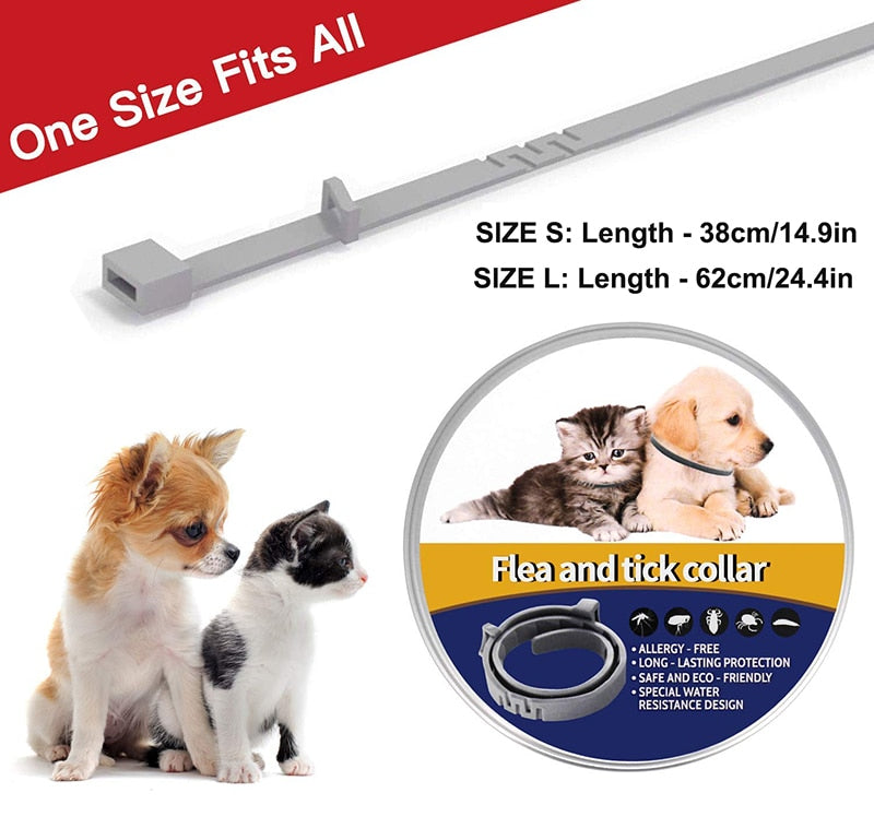 Effective Pet Flea Prevention Collar