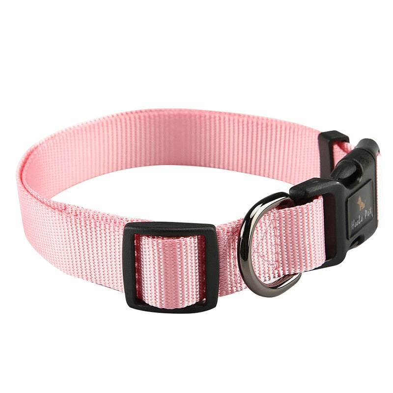 Sturdy Quick Release Dog Collar