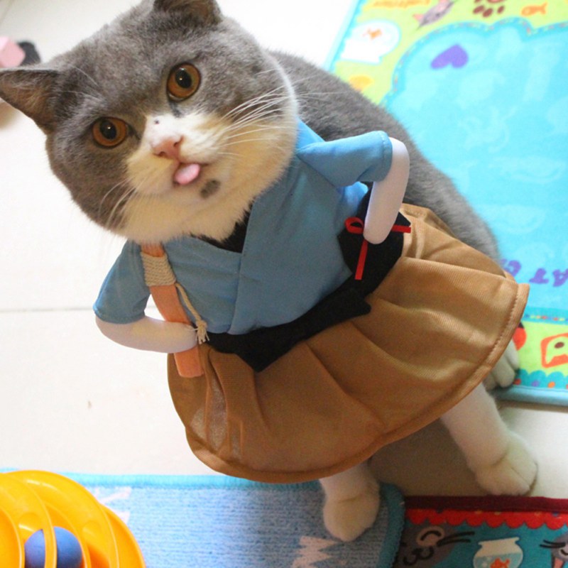 Japanese Samurai Pets Funny Costume