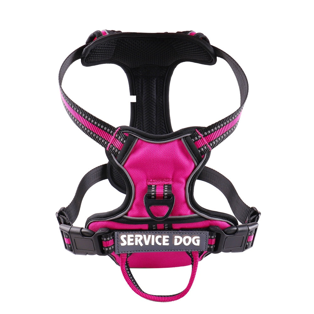 Nylon Personalized Reflective Dog Vest