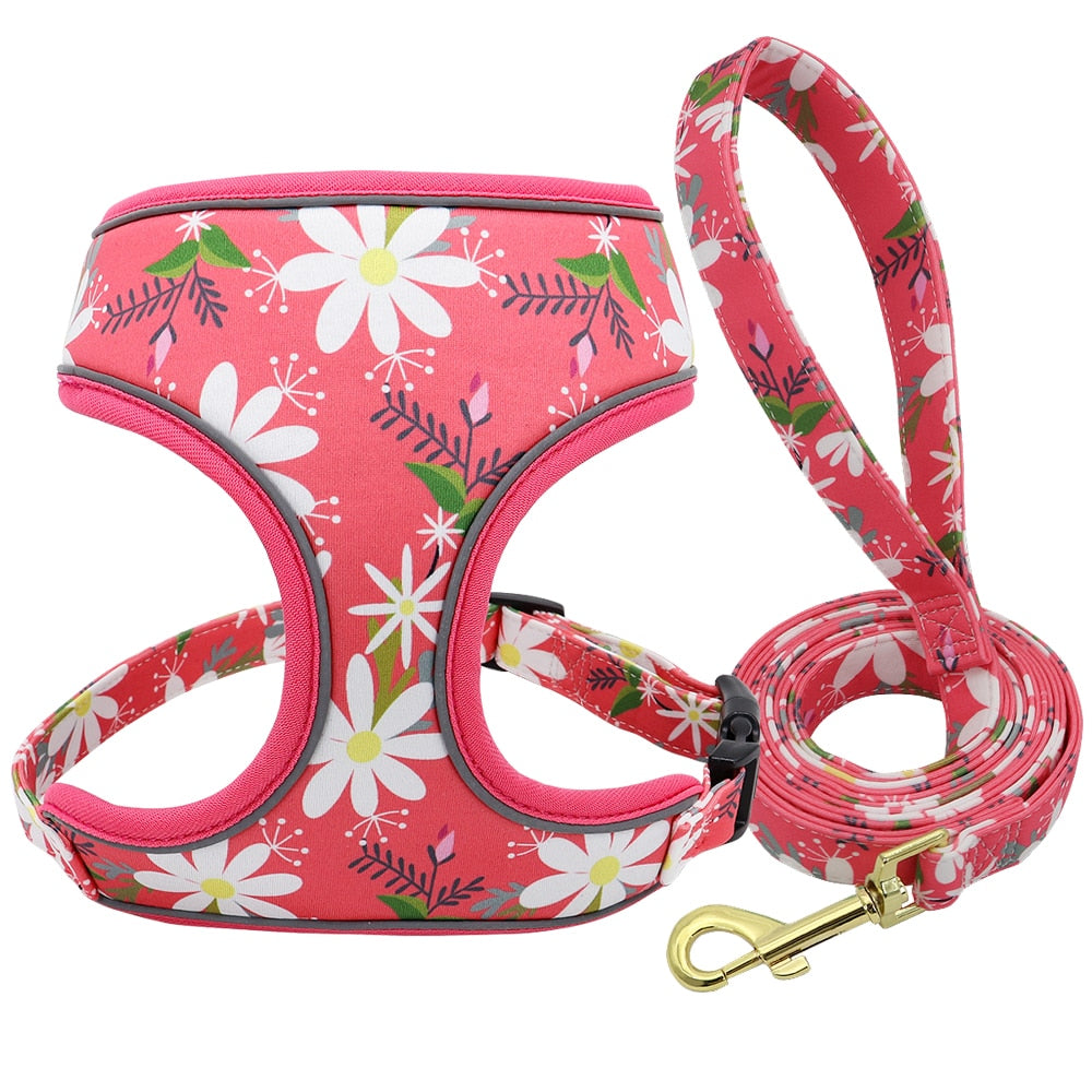 Fashion Reflective Dog Harness Set