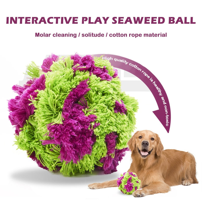 Fun Rope Ball Dog Chewing Toys