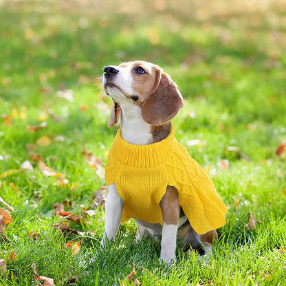 Cute Princess Style Dog Dress