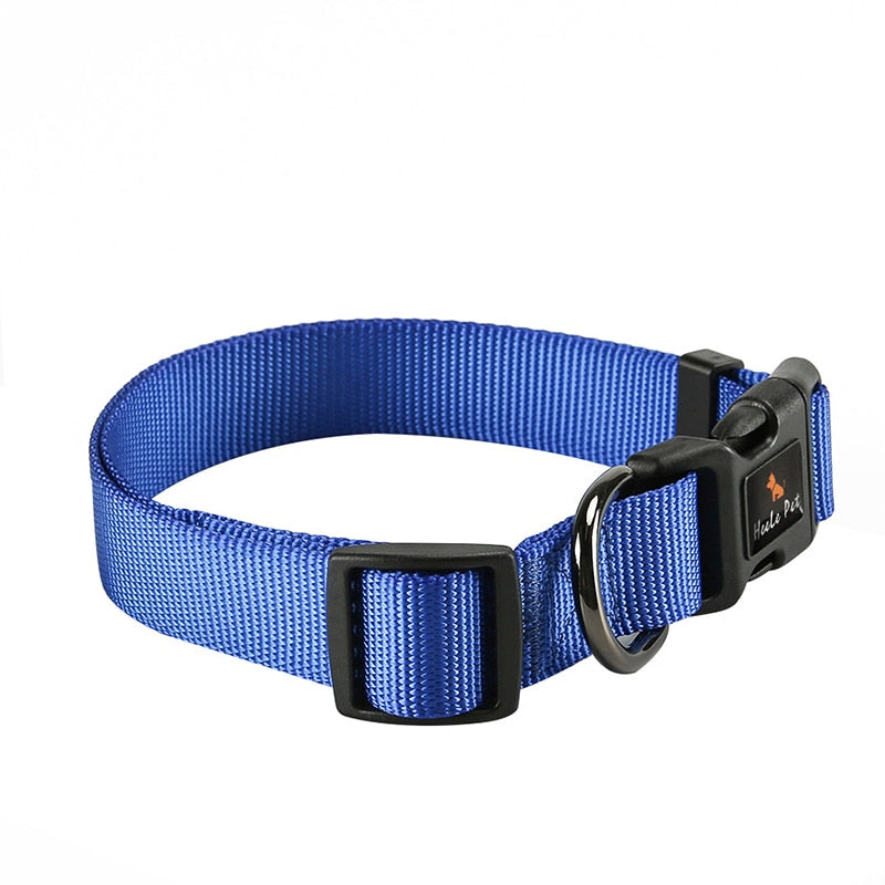 Sturdy Quick Release Dog Collar