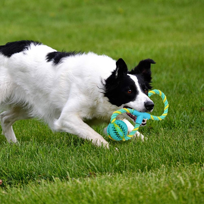 Unique 8 Shape Dog Rope Toys