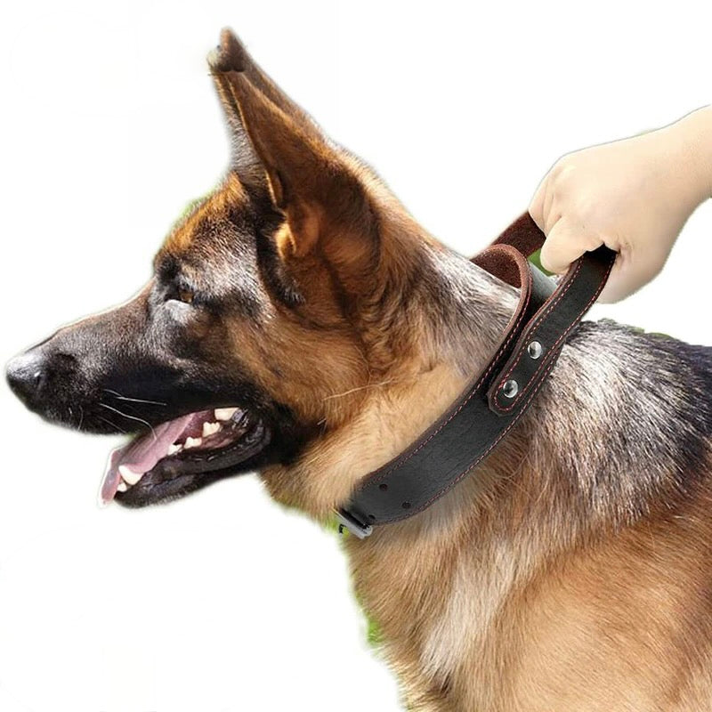 Sturdy Genuine Leather Dog Collar