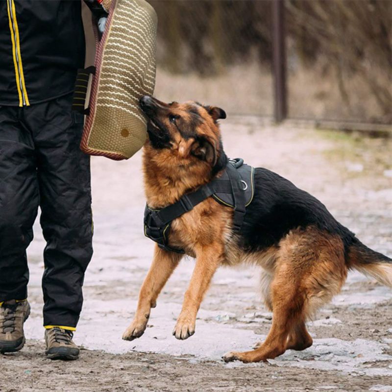 Professional Dogs Bite Training Arm Sleeve