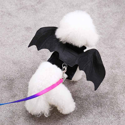 Halloween Bat Wings Pet Costumes