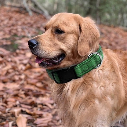 Reflective Neoprene Padded Dog Collar