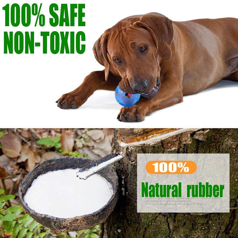 Durable Dog IQ Treat Toy Ball