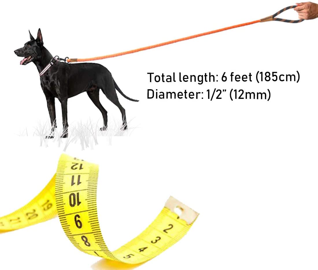 Heavy Duty Soft Handle Dog Leash