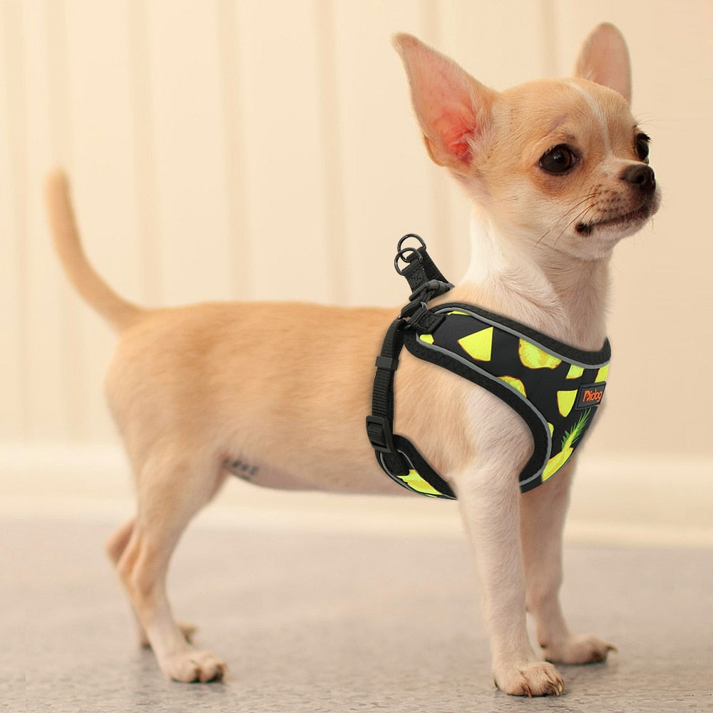Printed French Bulldog Dog Harness