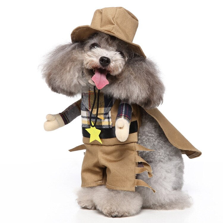 Halloween Cowboy Pets Costumes