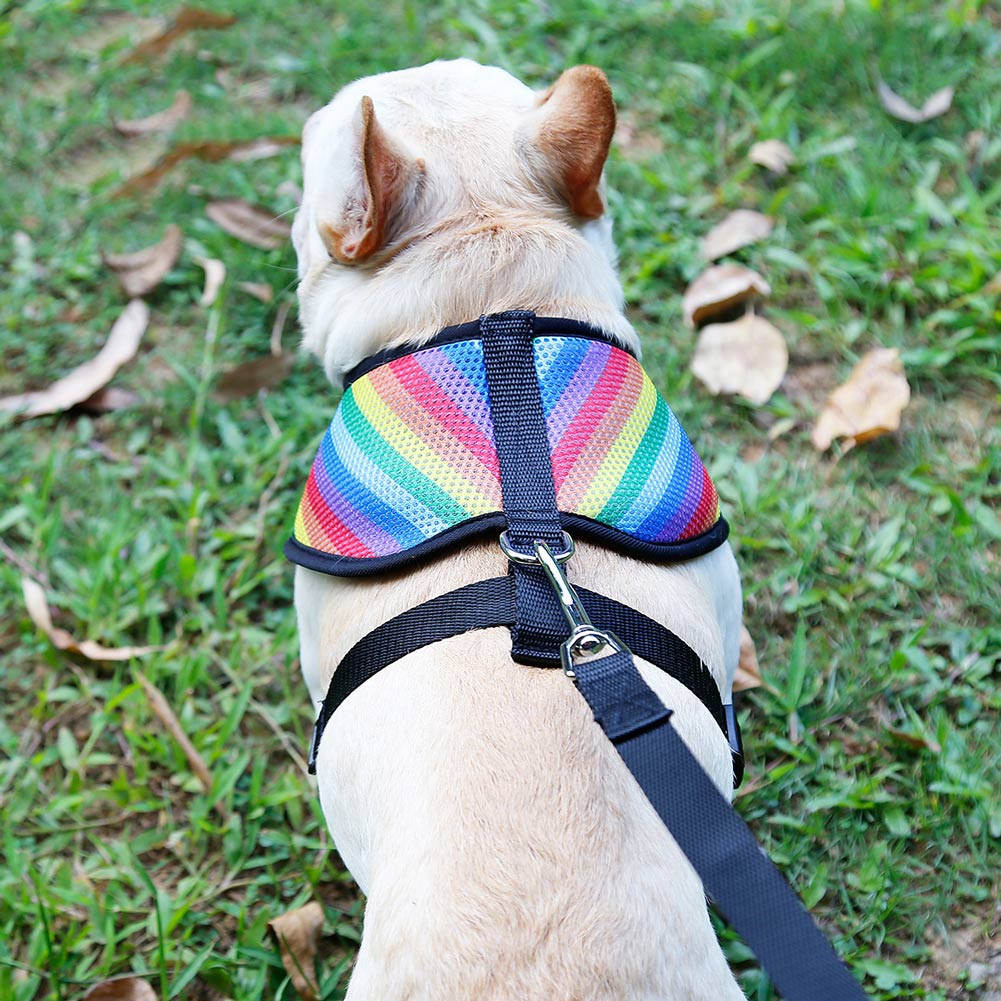 Rainbow Pet Chest Walking Vest