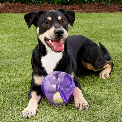 Jumbler Ball Football Dog Toy