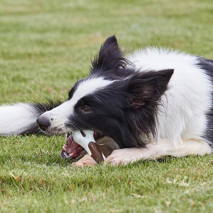 Bacon Flavored Dog Bone Toy