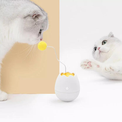 Interactive Motion Teaser Cat Toy