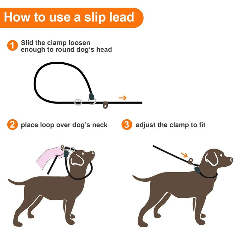 Strong Braided Slip Dog Leash