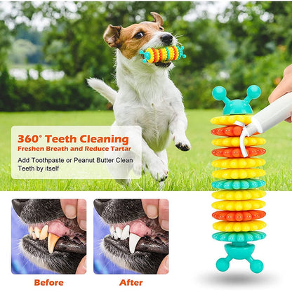 Strong Caterpillar Teething Dog Toys