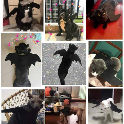 Halloween Bat Wings Pet Costumes