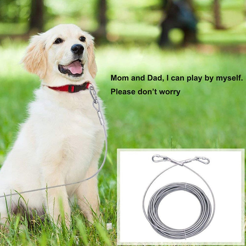 Steel Wire Tie Out Cable Dog Leash