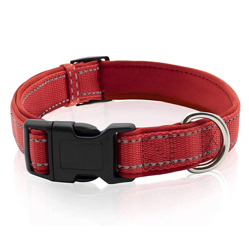 Reflective Neoprene Padded Dog Collar