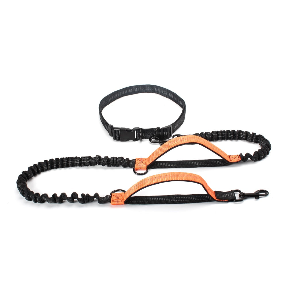 Reflective Dual Handle Bungee Dog Leash