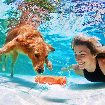 Floatable Bouncy Dog Chew Toys