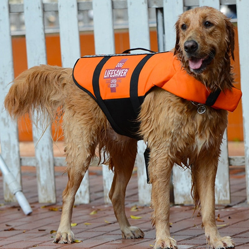 Vibrant Safety Dog Life Vest