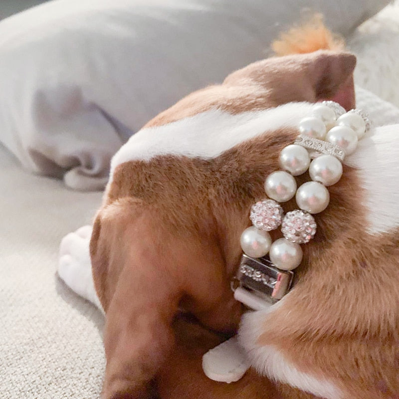 Elegant Crystal Rhinestone Dog Collar