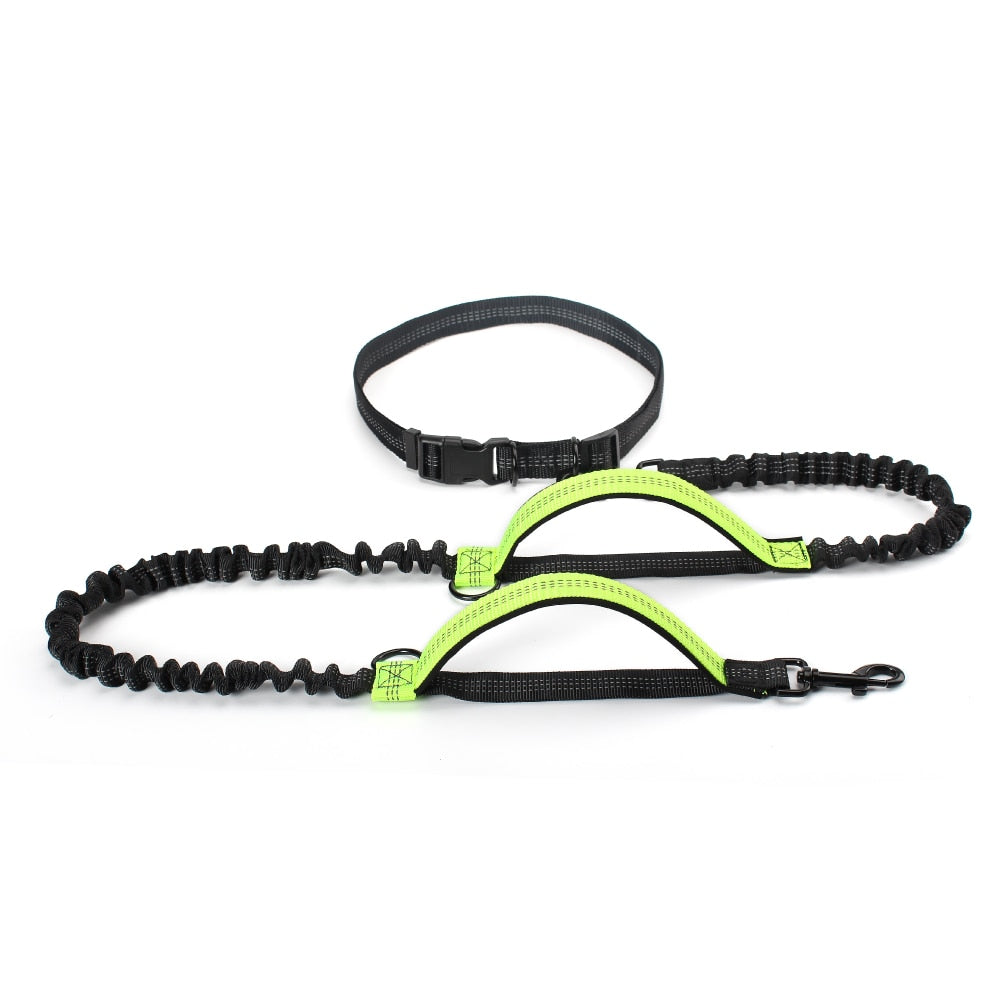 Reflective Dual Handle Bungee Dog Leash