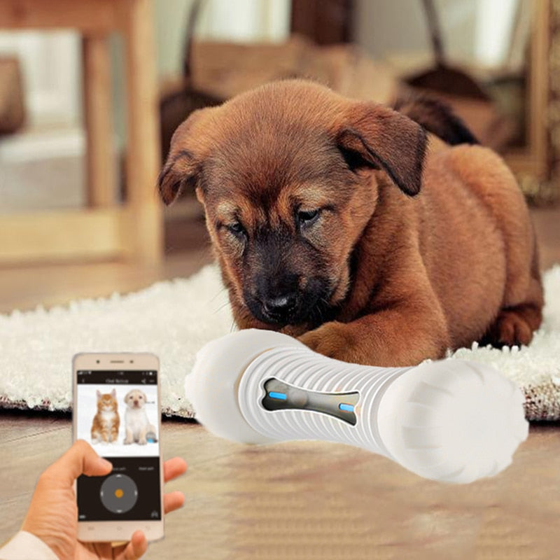 Interactive Emotions Smart Dog Bone Toy