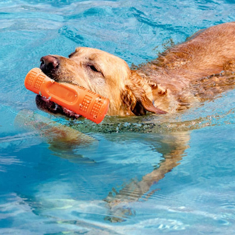 Floatable Bouncy Dog Chew Toys