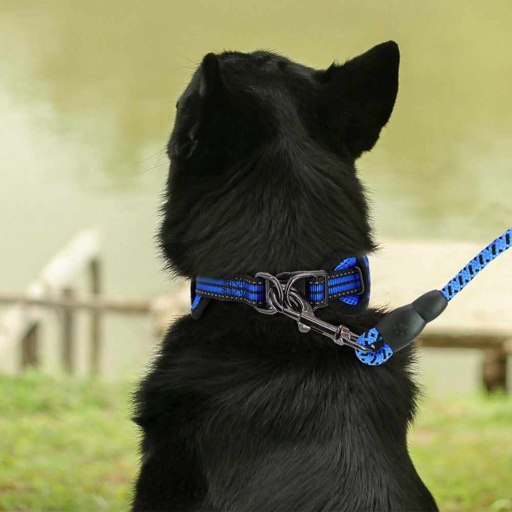 Breathable Nylon Mesh Dog Collars