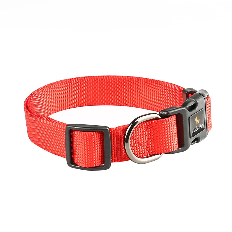 Sturdy Quick Release Dog Collar