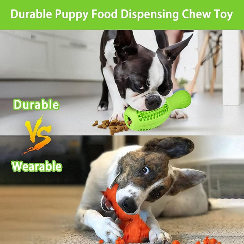 4 In 1 Squeaky Dog Chew Toy