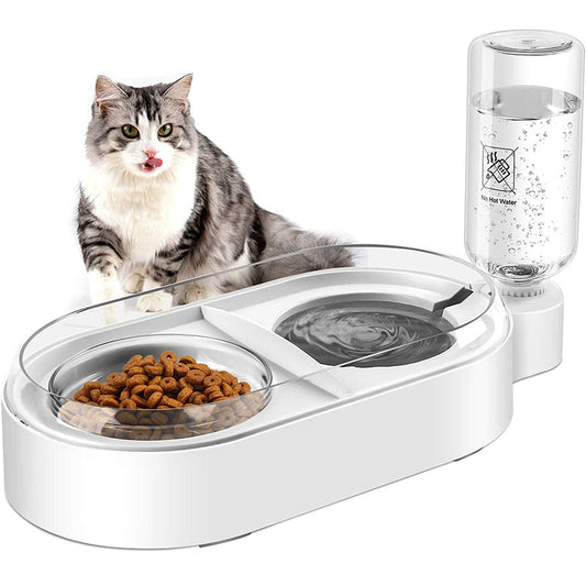 2 In 1 Stable Automatic Dog Feeder