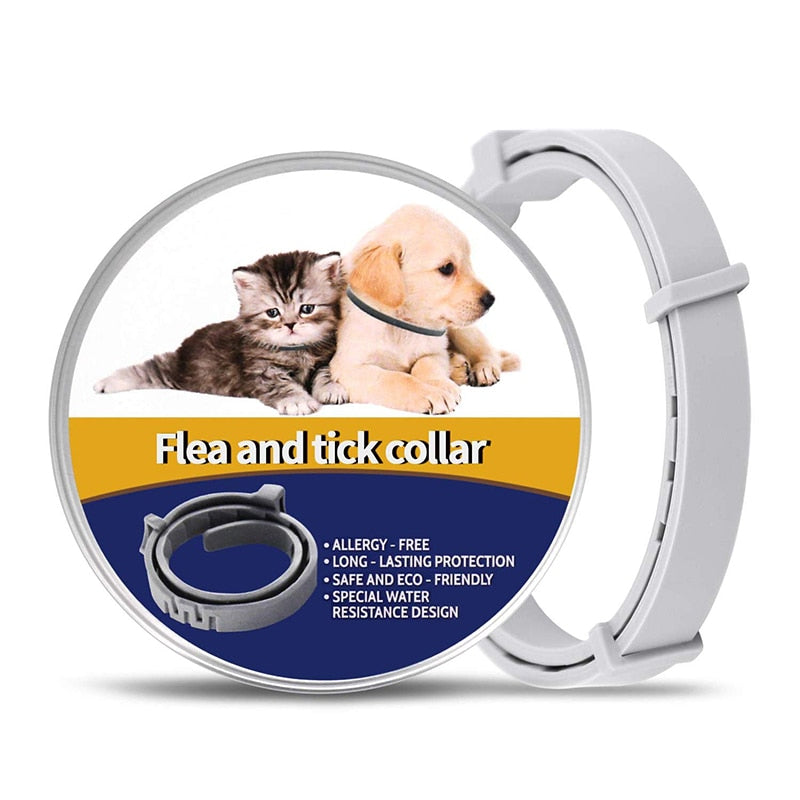 Effective Pet Flea Prevention Collar