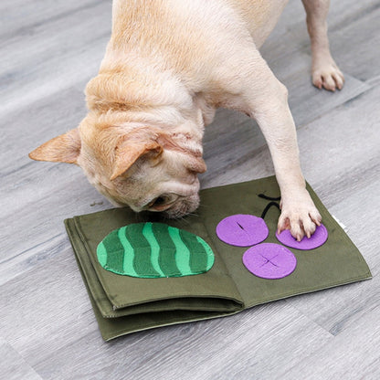 Fruit Book Pet Snuffle Toy