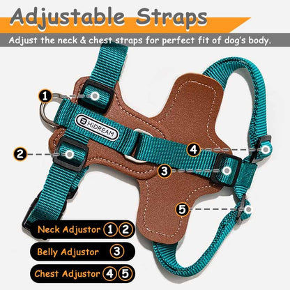 2 Leash Clips No Pull Dog Harness