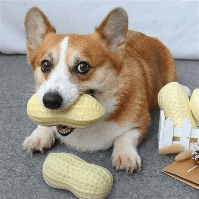 Squeaky Peanut Tough Dog Toys