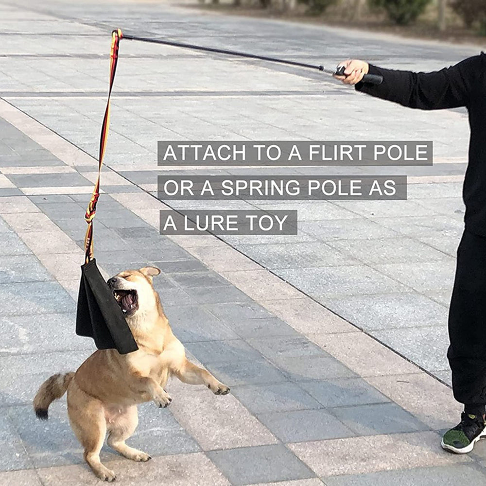 Leather Dog Bite Rag Tug Toy